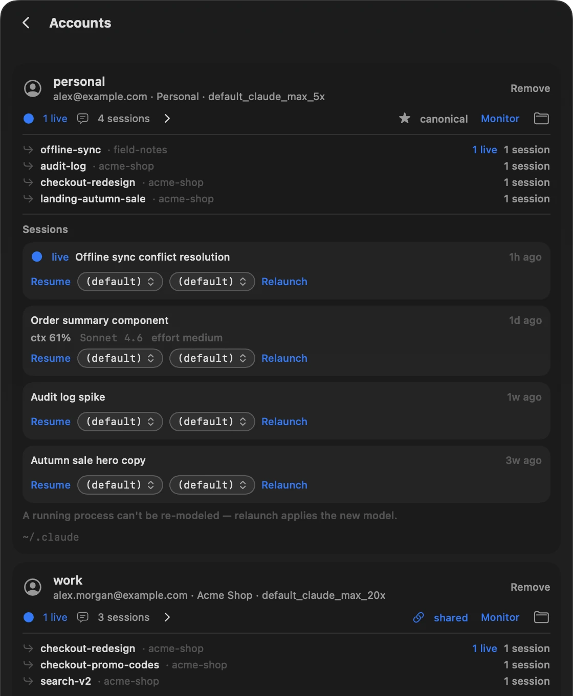 Экран Accounts: аккаунт personal с пометкой canonical, его сессии с выбором модели и уровня effort, а ниже — аккаунт work с пометкой shared.
